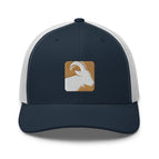 Navy/ White
